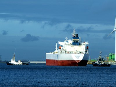 Hellespont Progress, IMO 9351426 at Port of Amsterdam photo-15