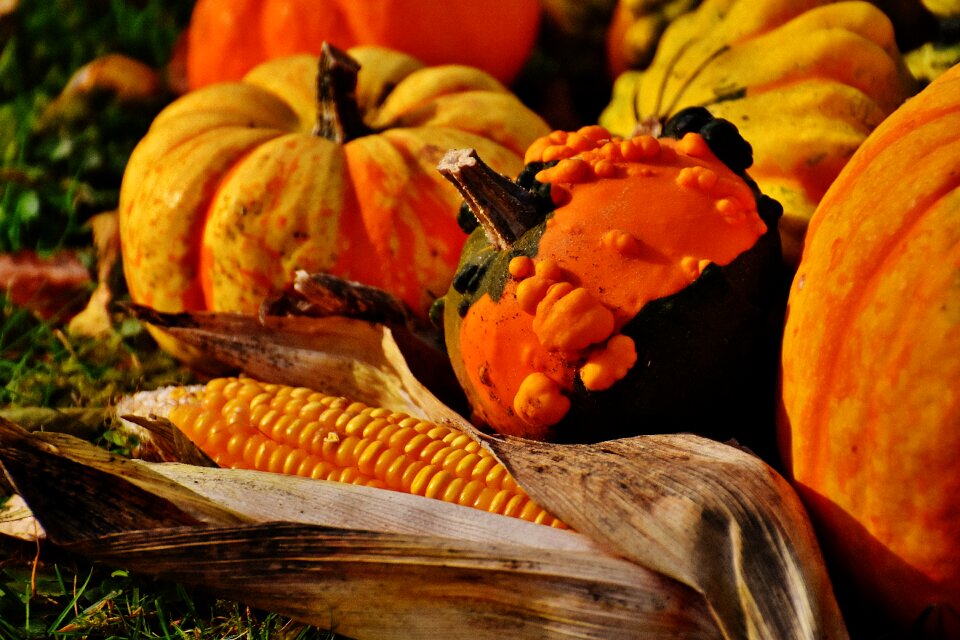 Autumn decoration colorful