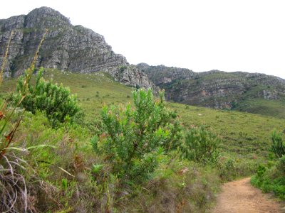 Helderberg Nature Reserve - Cape Town SA 0
