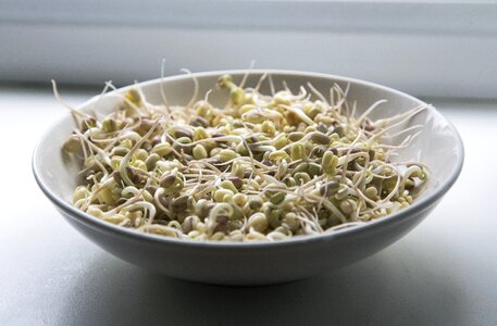 Food superfood vegetable
