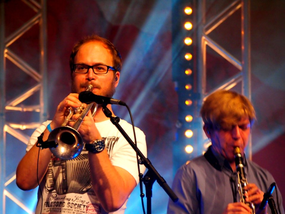 Heimatsound-Festival 2014 HMBC (50)