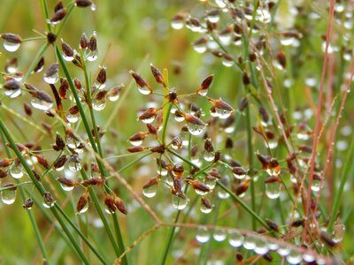 Wet macro highlights