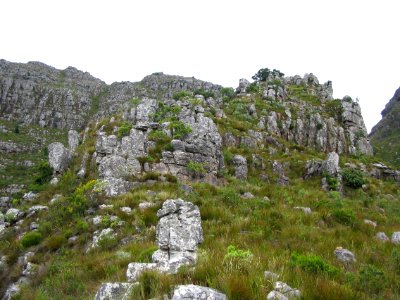 Helderberg Nature Reserve - Cape Town SA 9