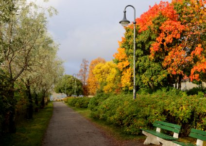 Heinon puisto Oulu 20171001