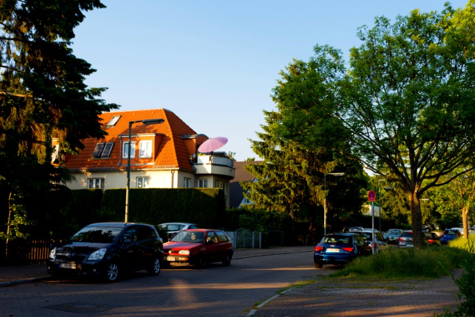 Heinitzweg 20140520 48