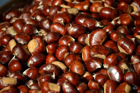 Chestnuts autumn dried fruit photo