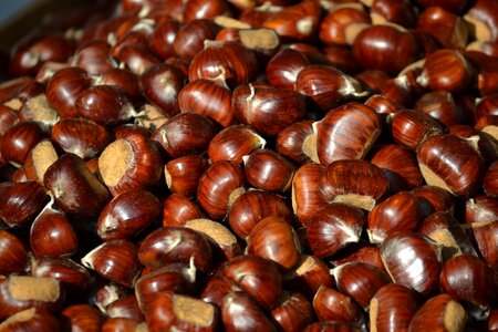 Chestnuts autumn dried fruit