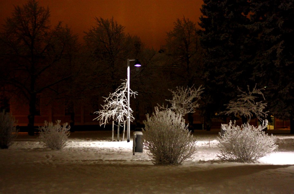 Heinatori Oulu 20101215
