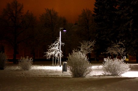 Heinatori Oulu 20101215