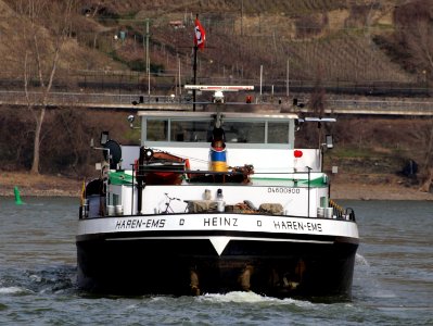 Heinz, ENI 04600800 at the Rhine river pic8