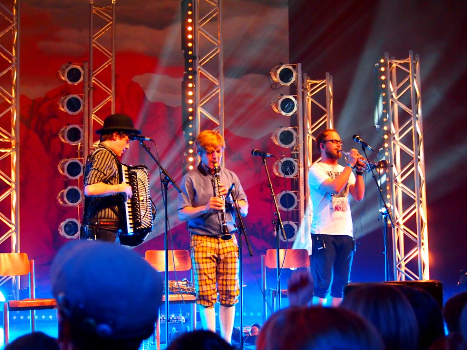 Heimatsound-Festival 2014 HMBC (53)