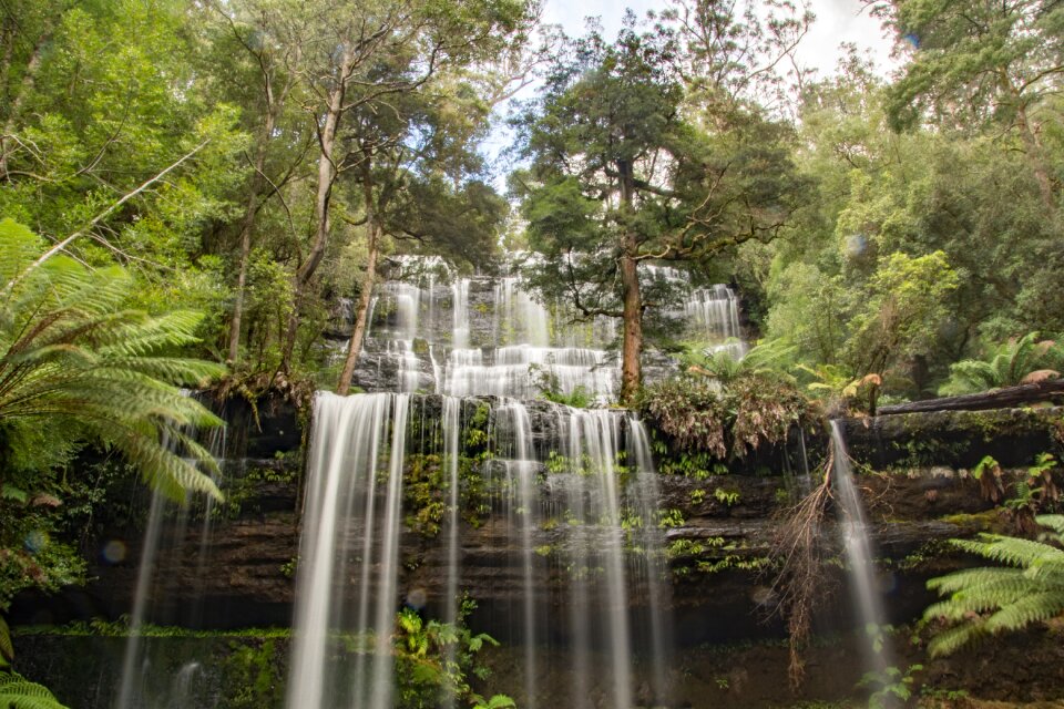 Field national park landscape wilderness