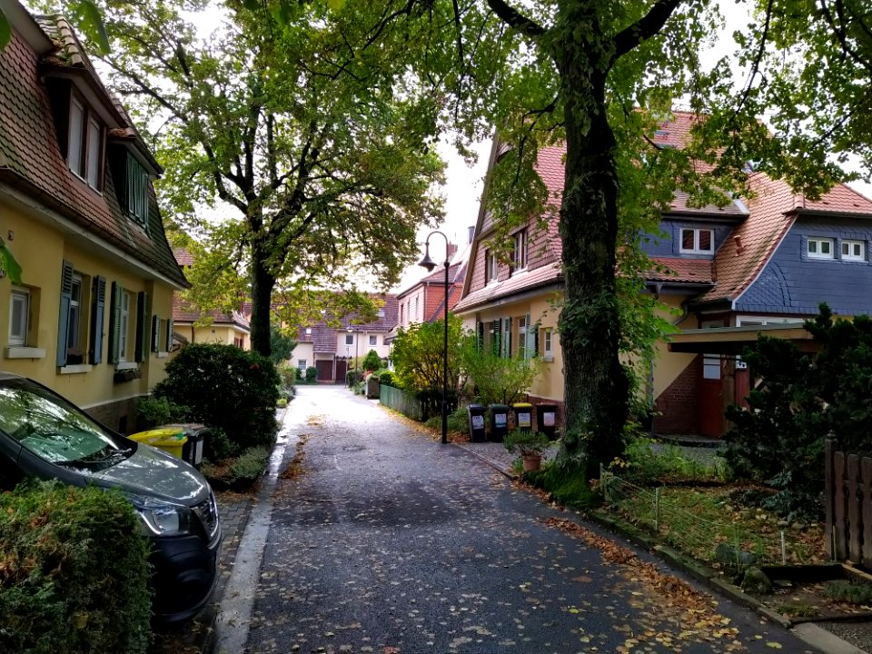 Heimchen-Siedlung F-Unterliederbach Oktober 2019 05