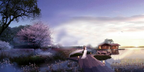 The boardwalk countryside landscape