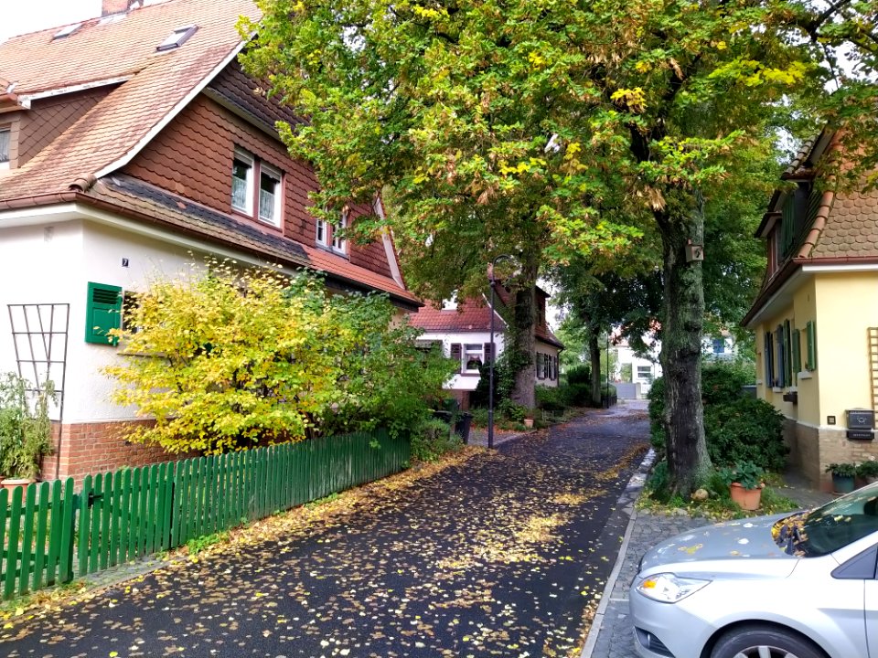 Heimchen-Siedlung F-Unterliederbach Oktober 2019 04