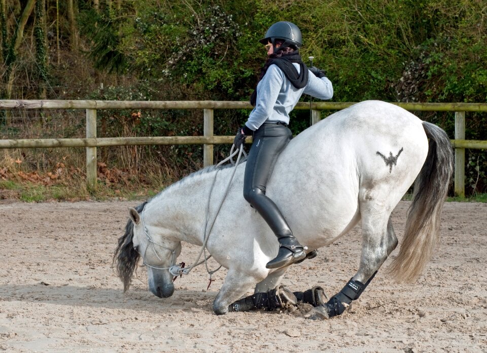 Cavaliere bareback horseback riding
