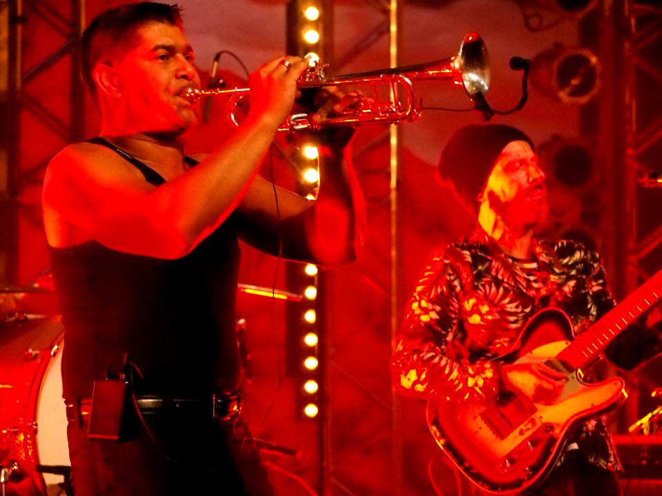 Heimatsound-Festival 2014 Shantel and Bucovina Club Orkestar (19)