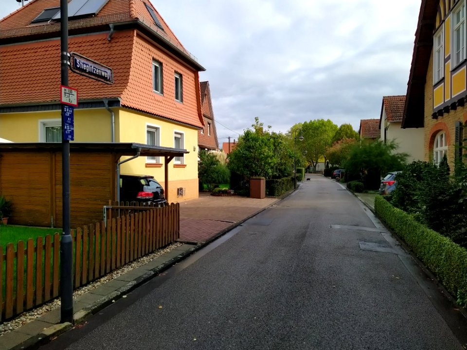 Heimchen-Siedlung F-Unterliederbach Oktober 2019 11