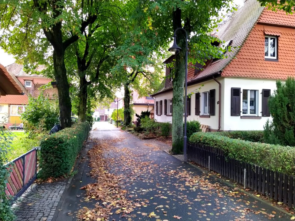 Heimchen-Siedlung F-Unterliederbach Oktober 2019 07