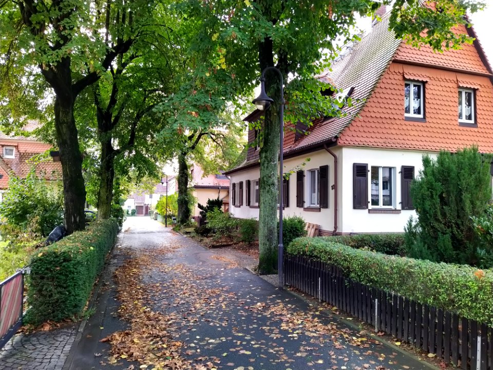 Heimchen-Siedlung F-Unterliederbach Oktober 2019 06