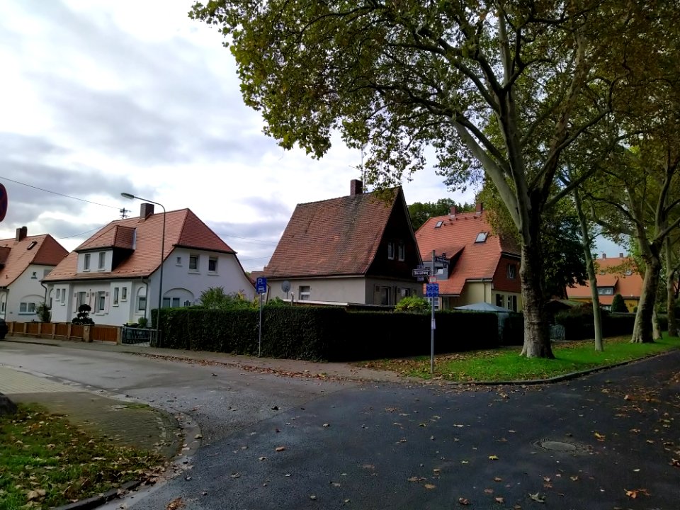 Heimchen-Siedlung F-Unterliederbach Oktober 2019 01 