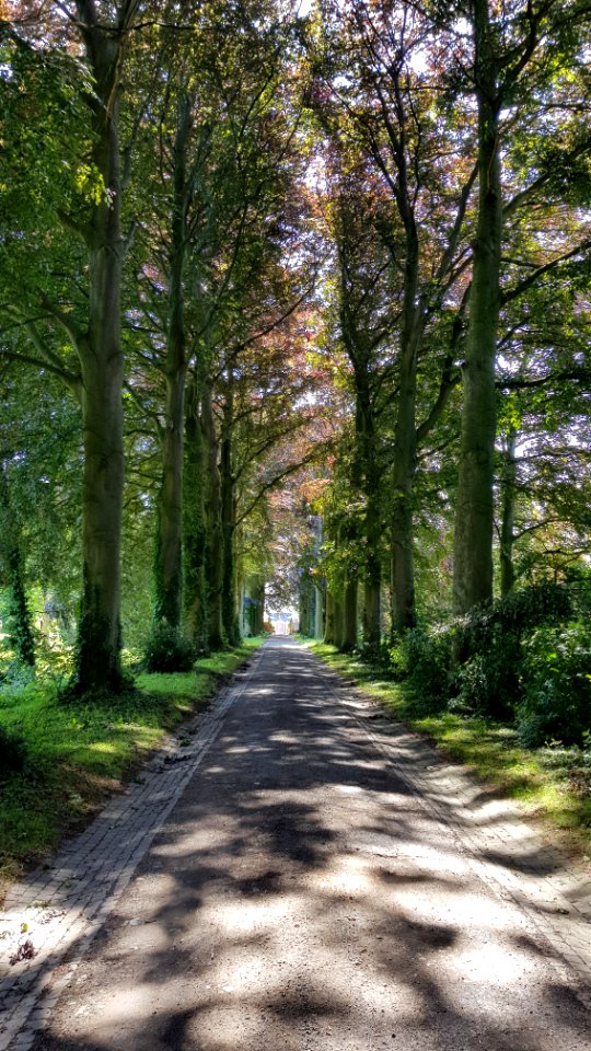 Heks-Kasteel van Heks (2)