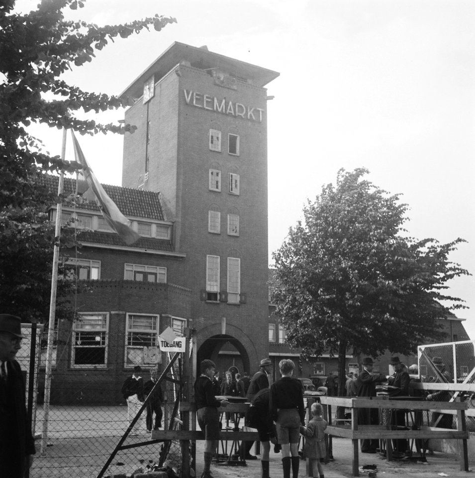 Hengstenkeuring te Den Bosch, Bestanddeelnr 901-8201
