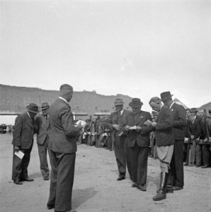 Hengstenkeuring te Den Bosch, Bestanddeelnr 901-8202