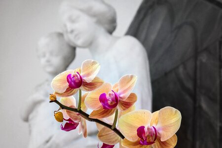 Flower church catholic