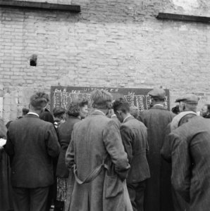 Hengstenkeuring te Den Bosch, Bestanddeelnr 901-8205