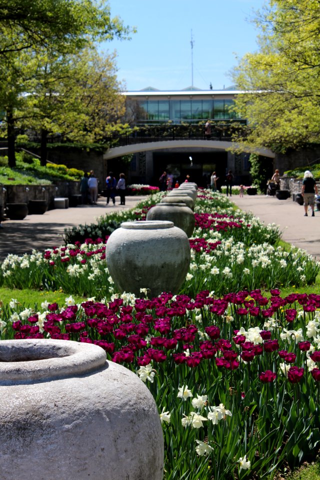 Hendrie Park facing main entrance, May 2018
