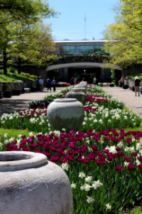 Hendrie Park facing main entrance, May 2018