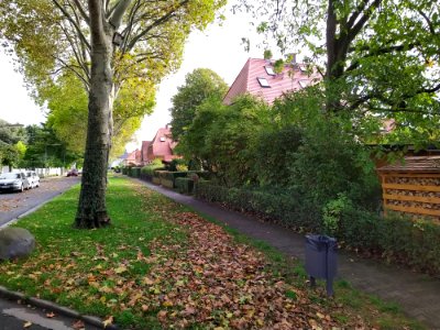 Heimchen-Siedlung F-Unterliederbach Oktober 2019 08