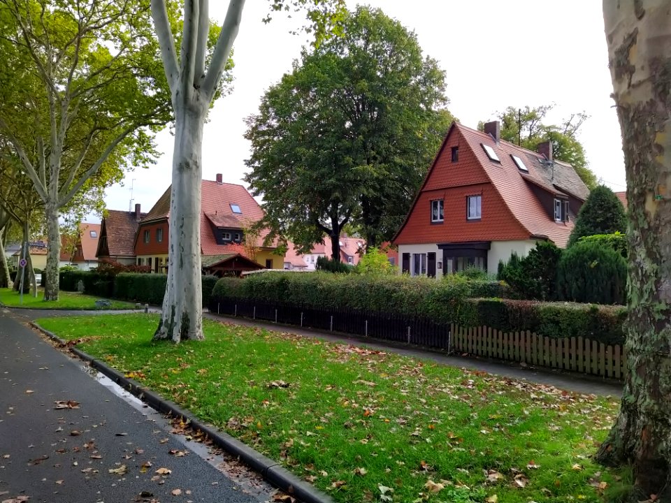 Heimchen-Siedlung F-Unterliederbach Oktober 2019 02