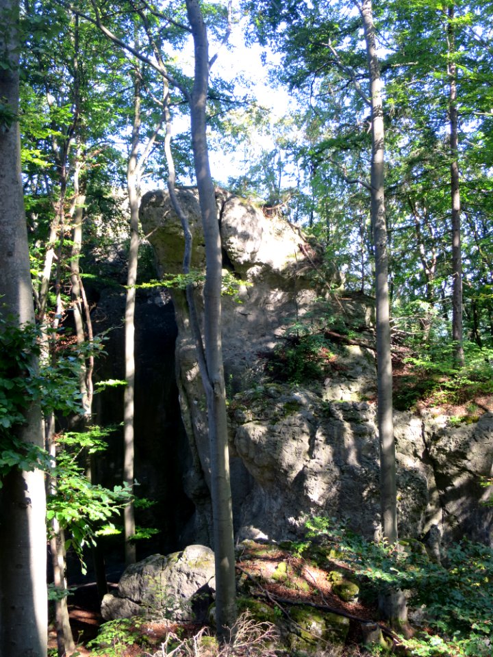 Heiligenstadt Rothensteinfelsen 1