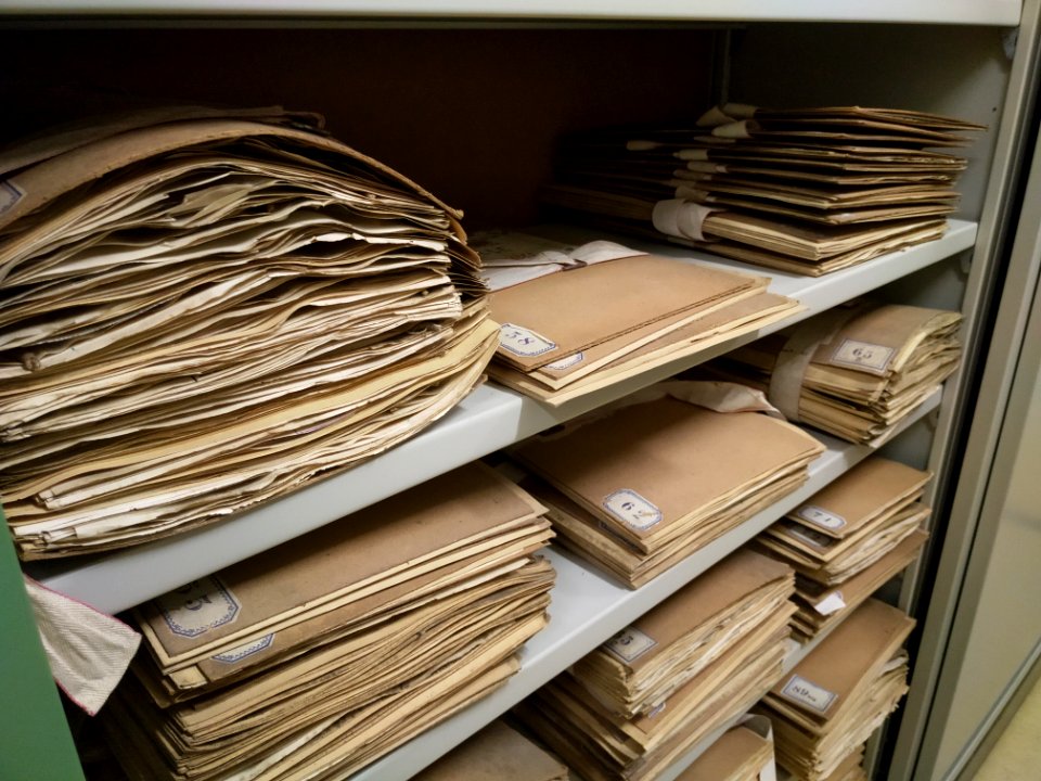 HerbariumLUX historical herbarium sheets