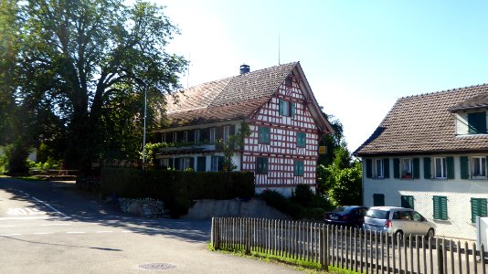 Hemmerswil Linde