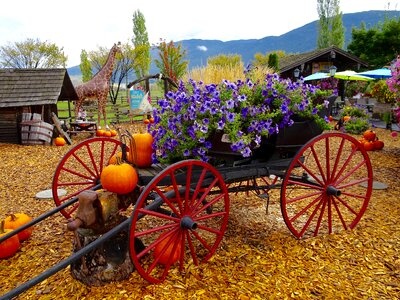 Wagon carriage decorated