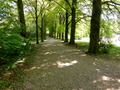 Hemmen Rijksmonument 36741 laan kasteellandgoed