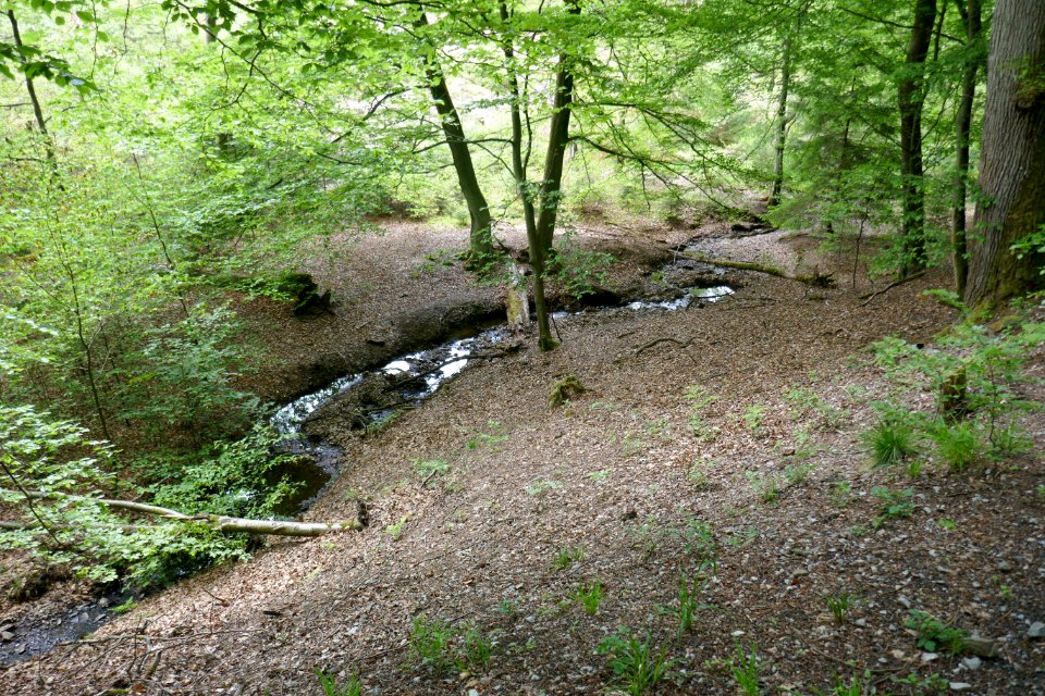 Hengelsbach