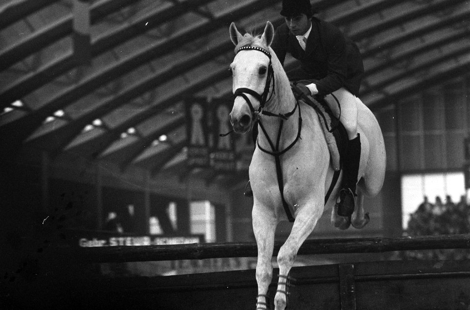Hendrik Snoek in actie met Raspoetin, Bestanddeelnr 926-8114