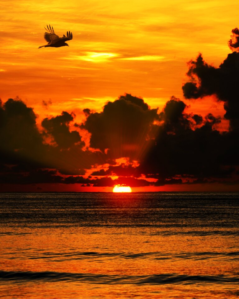 Ocean water sun