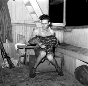 Hendrik, bemanningslid van de korjaal 'Coppename', met een gevangen jonge tapir , Bestanddeelnr 252-5659
