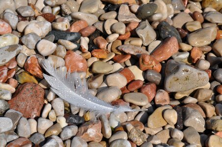 Pebbles stone drops