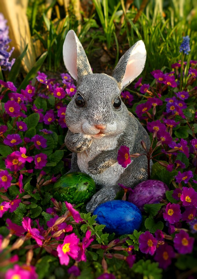 Hare easter decoration cute