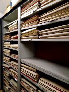 HerbariumLUX herbarium sheets