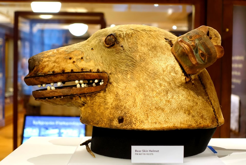 Helmet, Tlingit, Alaska, before 1867, wood, bear skin, tooth, iron - Native American collection - Peabody Museum, Harvard University - DSC06144