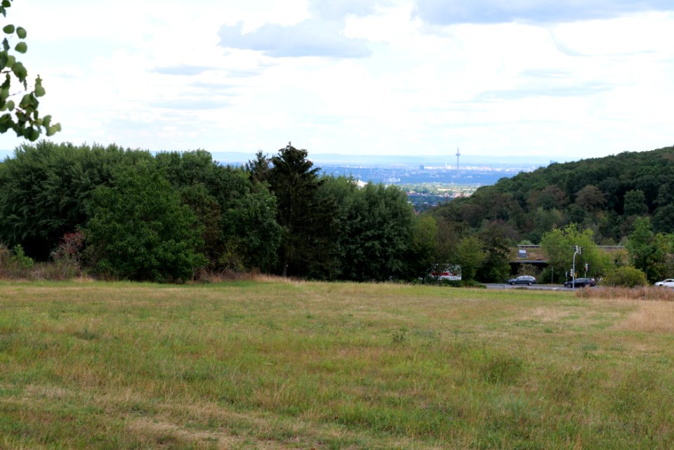 Helbigshainer Wiesen Taunus 2020-08-18 04