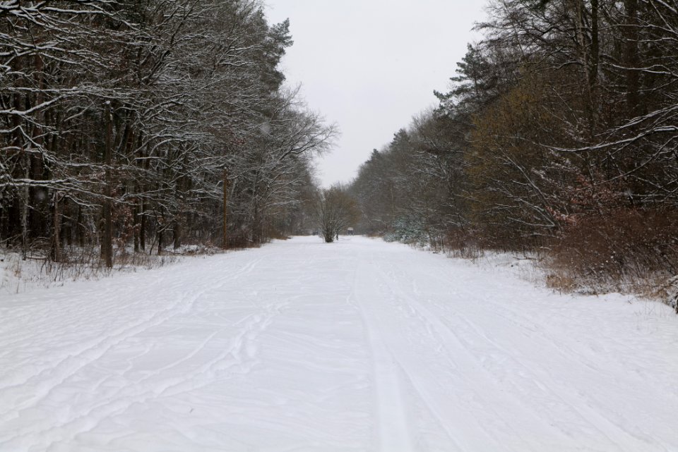 Hennigsdorfer Neuendorfer Heide with snow 2021-02-09 09