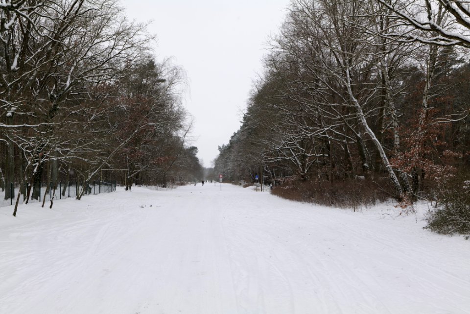 Hennigsdorfer Neuendorfer Heide with snow 2021-02-09 02